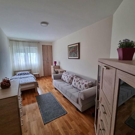 Riverside Apartment بودغوريتْسا المظهر الخارجي الصورة