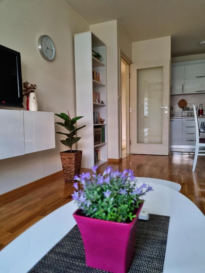 Riverside Apartment بودغوريتْسا المظهر الخارجي الصورة